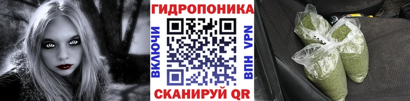 Бошки Шишки план  купить наркоту  Усть-Катав 